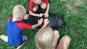 Durban North resident Wayne Steytler couldn't believe it when he saw a pot-bellied pig roaming around his suburb.