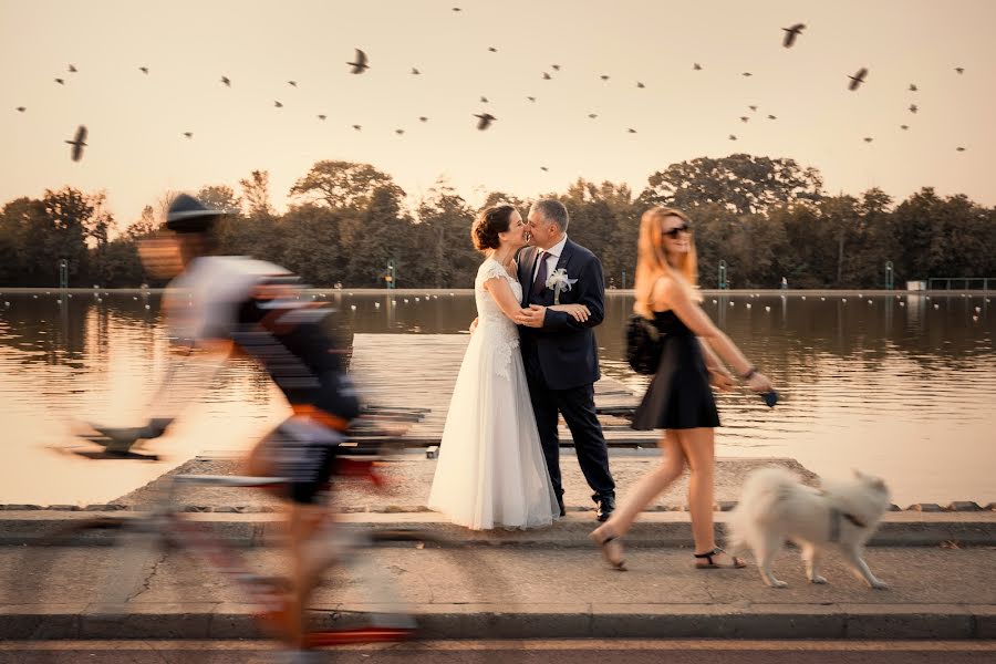 Fotografo di matrimoni Metodiy Plachkov (miff). Foto del 29 ottobre 2020