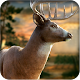 Download Wild Hunter Deer Hunting 2017 For PC Windows and Mac 1.00