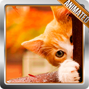 Cute Cat Animated Wallpaper  Icon