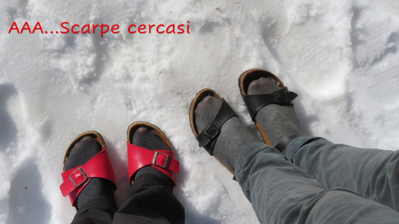 AAA...Scarpe da neve Cercasi di Laucol