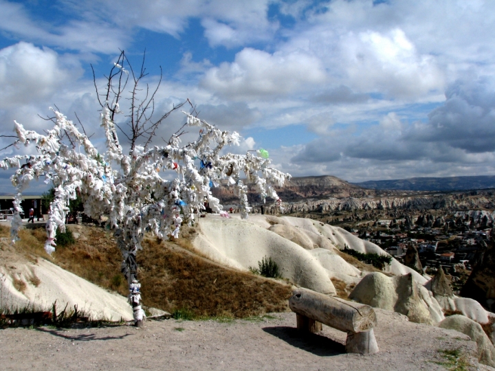 Desideri sull'albero e...camini di pgonzaga