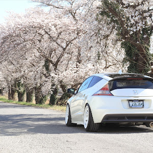 CR-Z ZF1