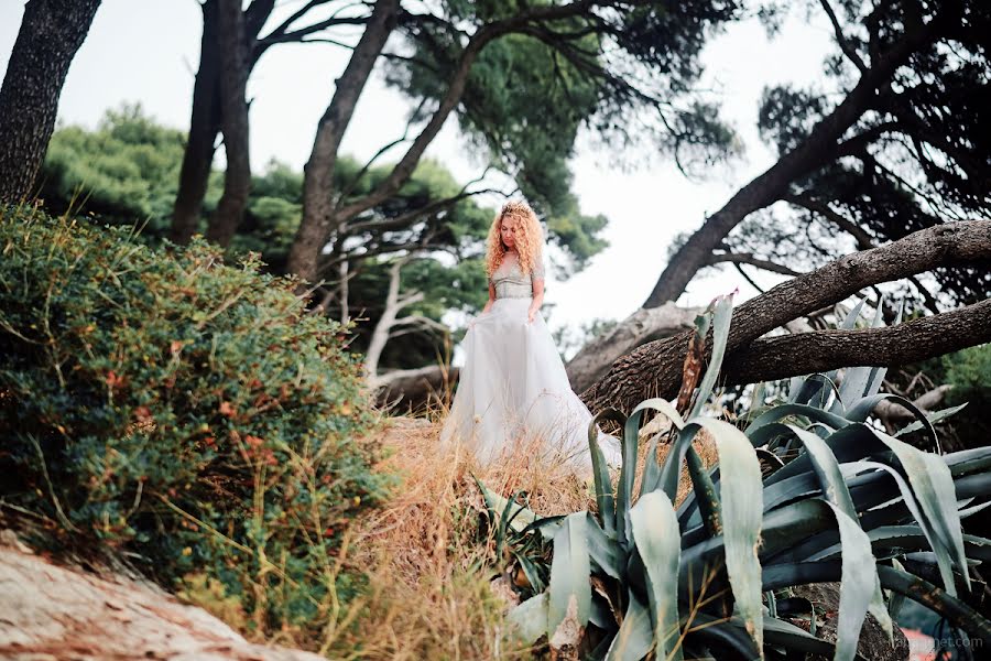 Photographe de mariage Іra Shepetko (irabagmet). Photo du 20 septembre 2016