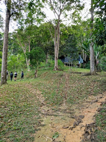 Bukit Kutu via Ampang Pecah plantation field trailhead