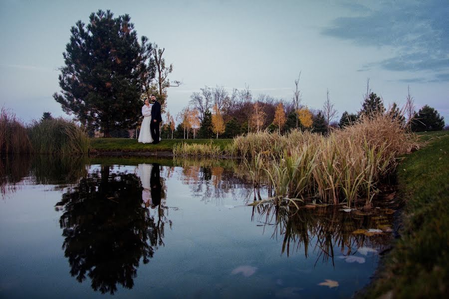 Wedding photographer Aleksey Shvec (alexshvec). Photo of 17 August 2019