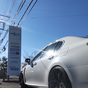 GS F URL10