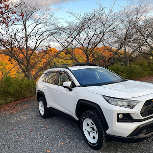 RAV4 MXAA54