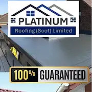 PLATINUM ROOFING Logo