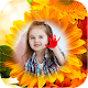 Download Sunflower Photo Frames For PC Windows and Mac 1.0