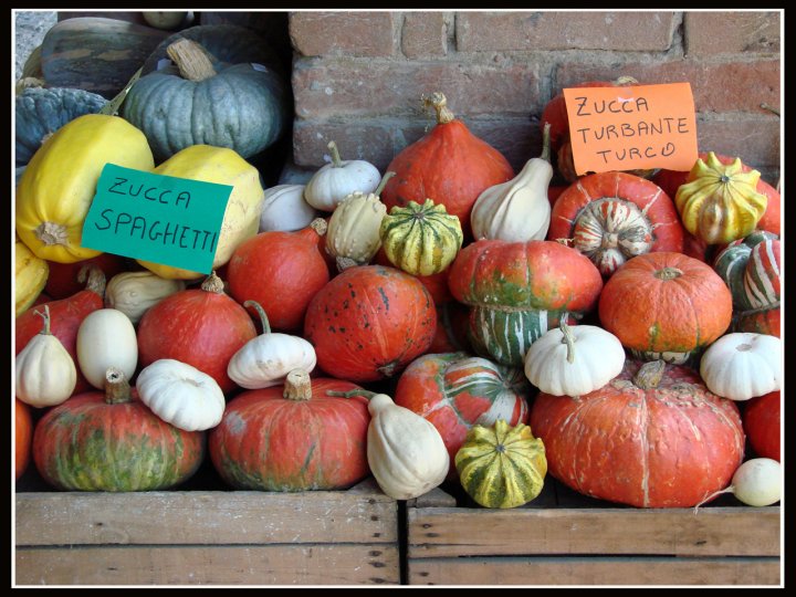 Overdose di zucca di ETTORE STABILINI