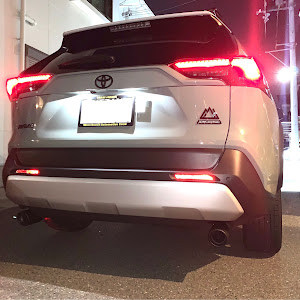 RAV4 MXAA54