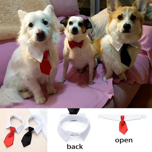 images slider number - 5