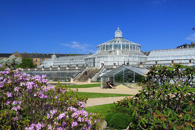 The greenhouse of the Botanical Garden of the Natural History Museum of Copenhagen is divided into departments, each of which features different climates.