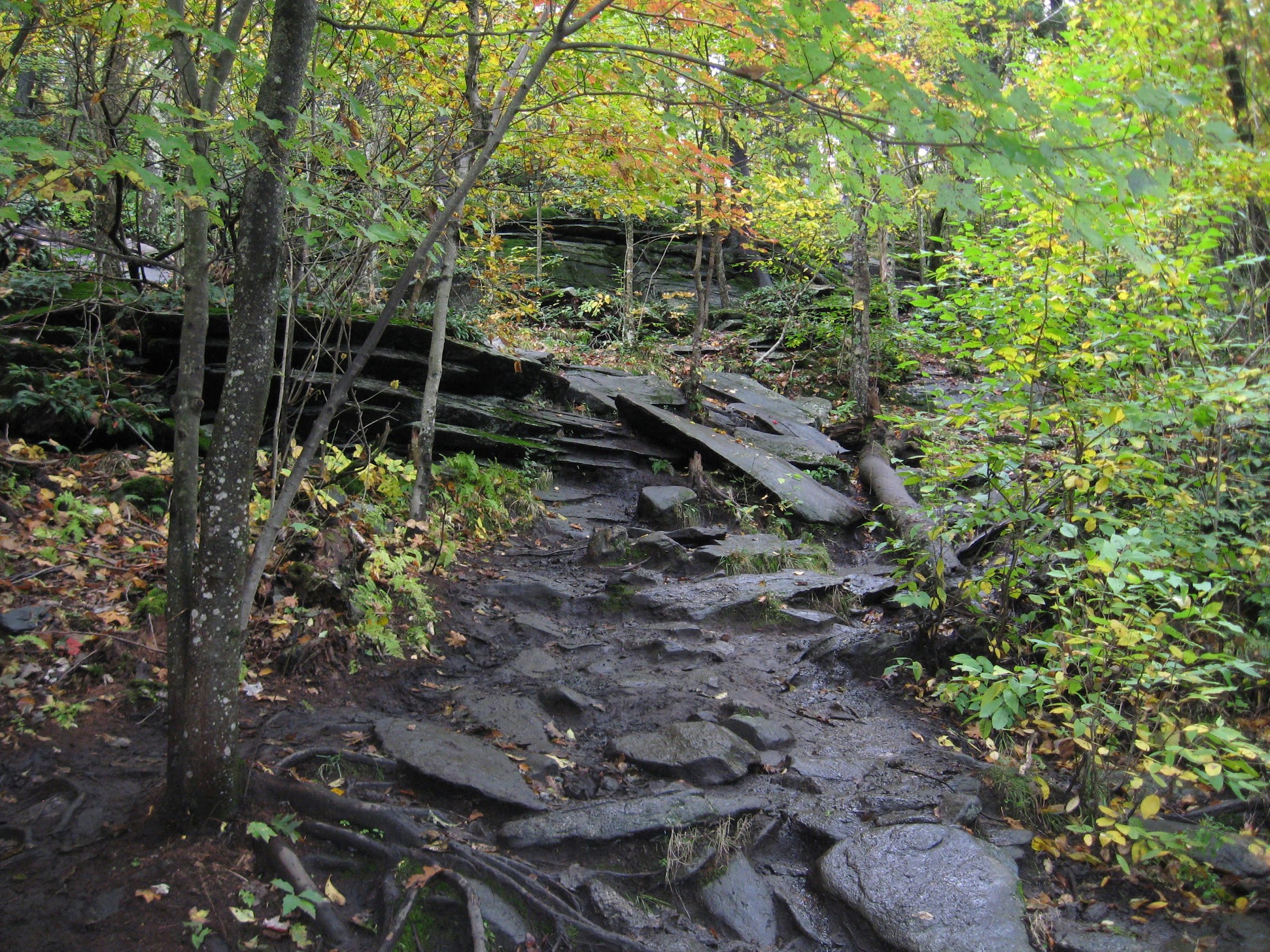 descending Wachusett Mountain after the rain