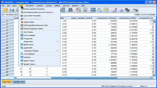 Manual SPSS learn 21