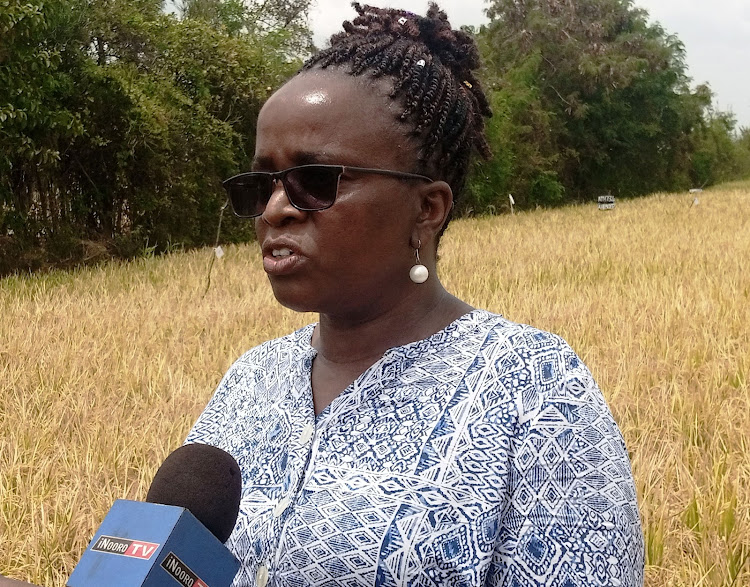 Mary Mutembei, the head of rice promotion.