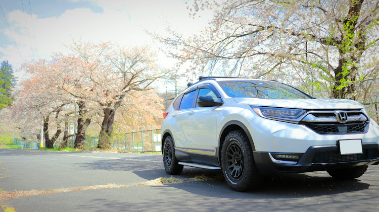 CR-Vのサクラと愛車・桜並木道・色々な桜・鳥も花見に関するカスタム事例の投稿画像4枚目