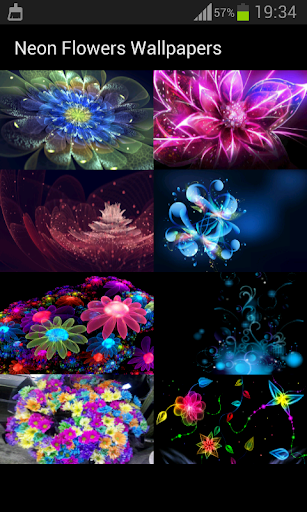 免費下載個人化APP|Neon Flowers Wallpapers app開箱文|APP開箱王