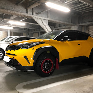 C-HR NGX50