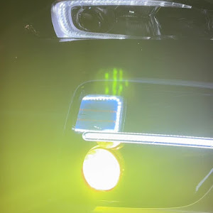 レヴォーグ VM4