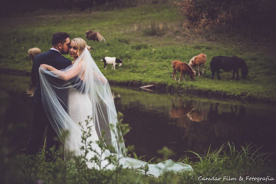 Wedding photographer Dariusz Biesiada (dariuszbiesiada). Photo of 24 February 2020