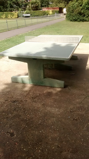 Outdoor Table Tennis