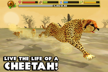 Download Cheetah Simulator By Gluten Free Games Apk For Android Latest Version - roblox testing a wild savannah controls