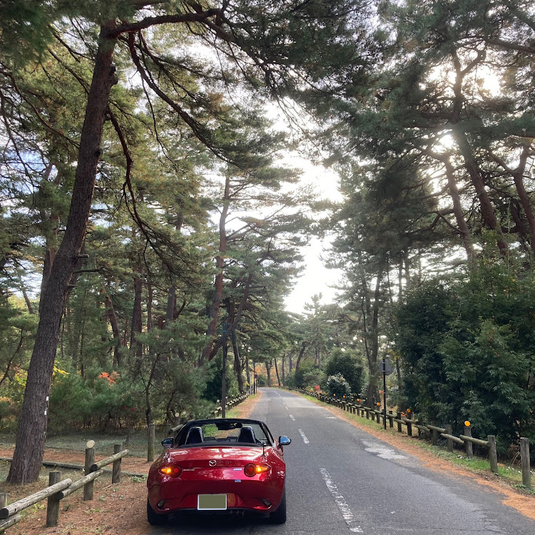 ロードスターのLion roadsterさんが投稿したカスタム事例の投稿画像2枚目