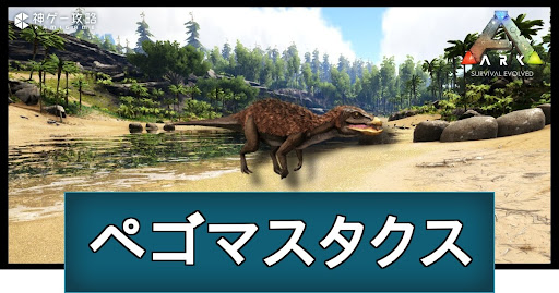 ペゴマスタクス