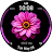 Bloom Flower icon