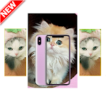 Cover Image of Скачать Cat Wallpaper Full HD 3.0.19 APK