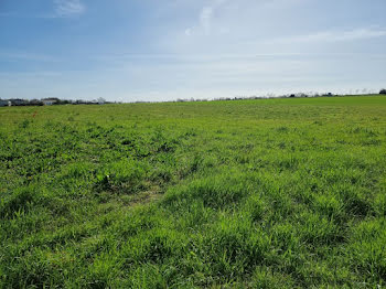 terrain à Surgères (17)