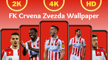 FK Crvena zvezda - Team