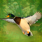 Duck Hunter VR  Icon