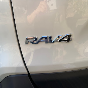 RAV4 MXAA54