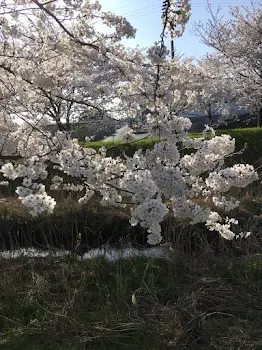 リアル鬼ごっこ