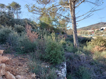 terrain à Flassans-sur-Issole (83)