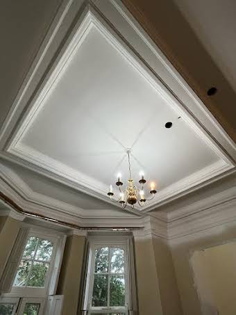 Large ceilings and coving sprayed  album cover