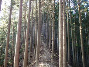 細尾根の先に急登