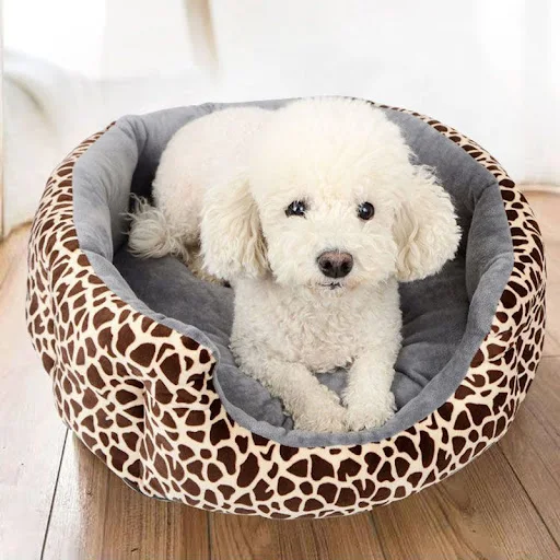 Outdoor Bed Dog Houses Kennel Supplies Cage Small Playpens Dog Houses Accessories Rabbit Jaula Para Perros Dog Furniture