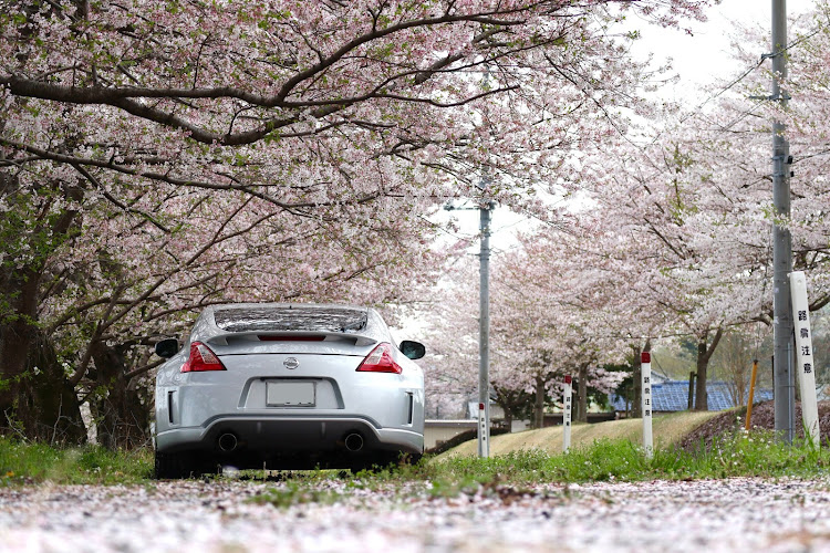 フェアレディZの春だね❗️・桜旅・医療従事者にエールを❗️に関するカスタム事例の投稿画像2枚目