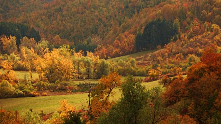 Colori autunnali in Casentino di marvig51