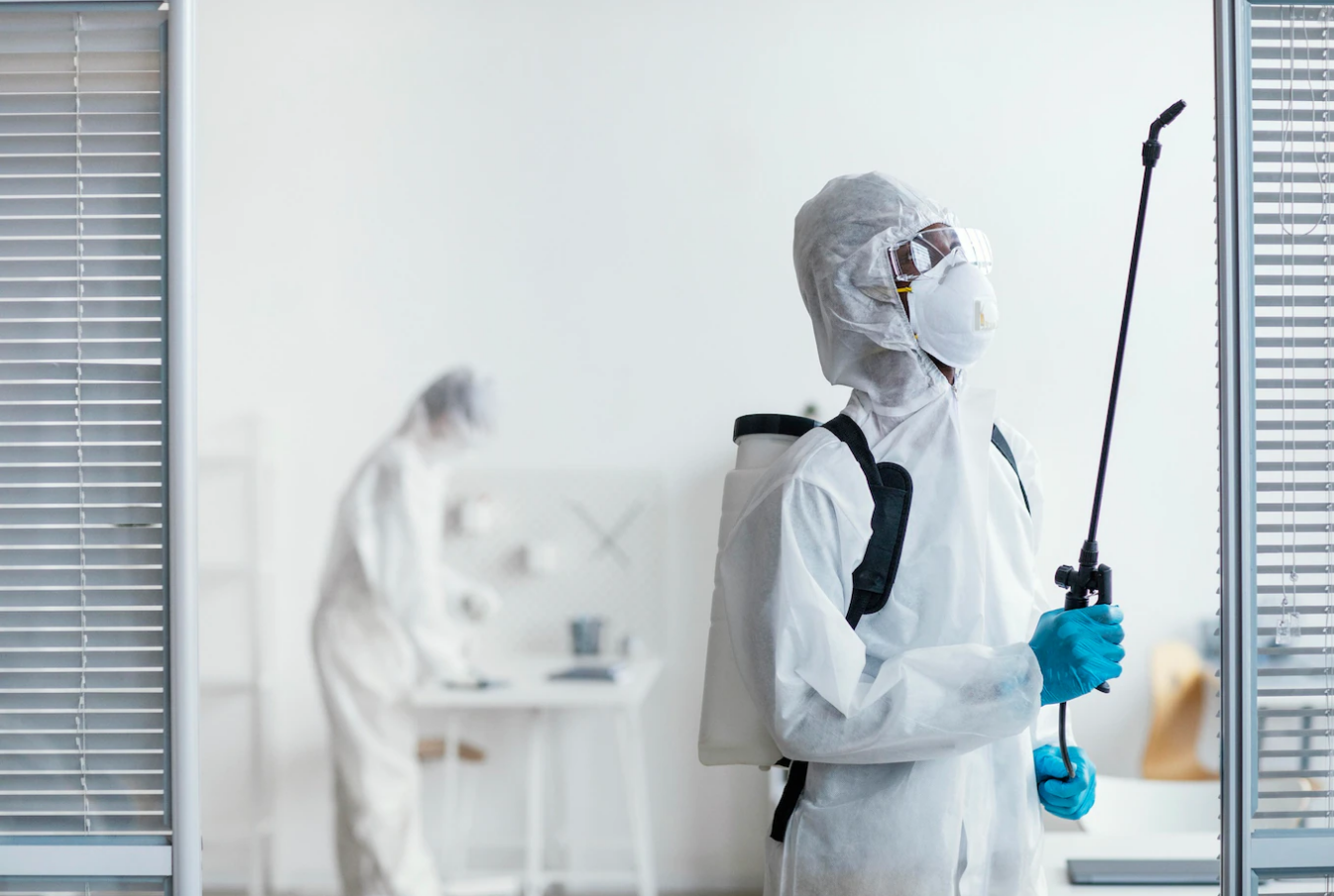 People disinfecting together a pest-infected area