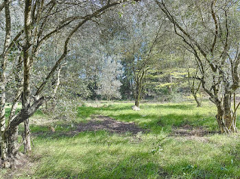 terrain à Loriol-du-Comtat (84)