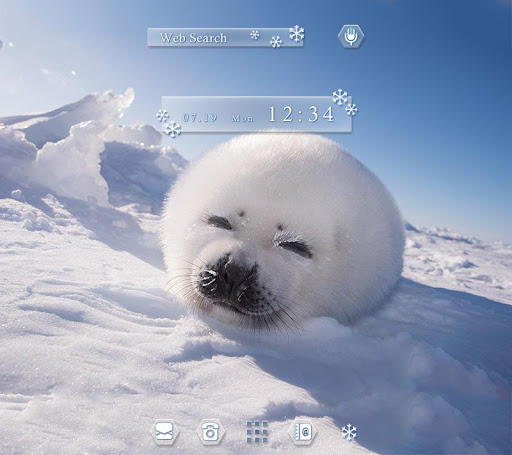 Cute Wallpaper Baby Seal Theme 1.0.0 Windows u7528 1