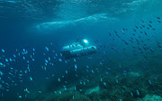 ScUber travelling among marine life at Heron Island. 
