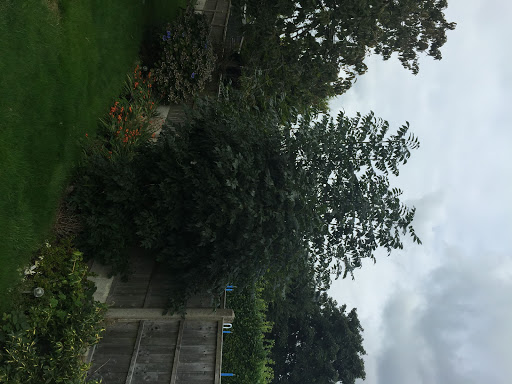  J.M. Tree and Garden Services