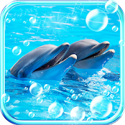 Dolphin 2016 LWP 1.0 Icon