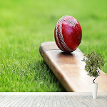 Cover Image of ดาวน์โหลด CricWorld 1.0 APK